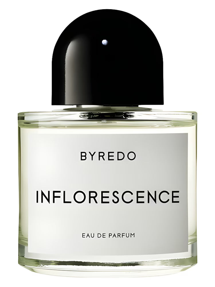 Inflorescence Byredo