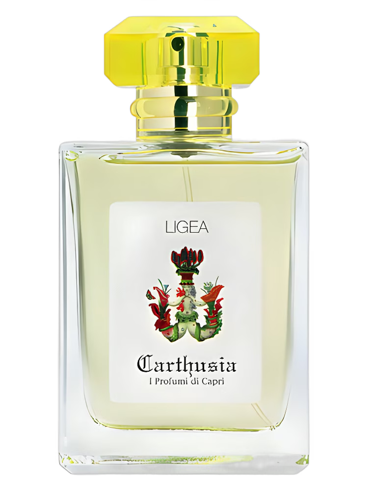 Ligea Carthusia